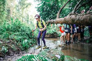 BIB: 
                            <button type="button" onclick="openModal(25475474)" class="btn btn-primary btn-sm float-right btn-popup" data-toggle="modal" data-target=".modal-high-quality">
                        <i class="fas fa-shopping-cart"></i> Add to Cart
                    </button>
                                            <button type="button" onclick="isThisMe(25475474, true)" class="btn btn-success btn-sm float-right btn-popup btn-isme hidden" data-toggle="tooltip" data-placement="bottom" title="นี่คือรูปของคุณใช่ไหม คลิกที่นี่เพื่อเอาเข้าอัลบั้ม">
                        <i class="fas fa-plus"></i> Add to album
                    </button>
                    <button type="button" onclick="isThisMe(25475474, false)" class="btn btn-warning btn-sm float-right btn-popup btn-isnotme hidden">
                        <i class="fas fa-ban"></i> Remove from album
                    </button>